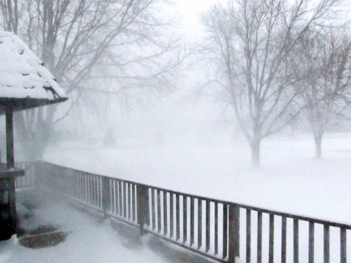 Our first blizzard in five years.