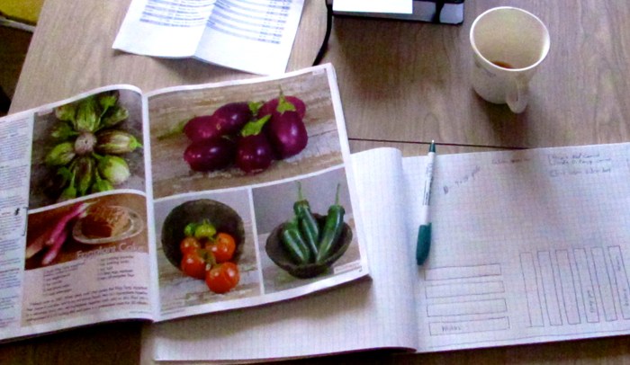 Seed Catalogues and Planning for our First Garden in Five Years.