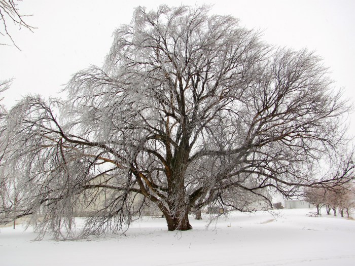 April 22nd?  Really?