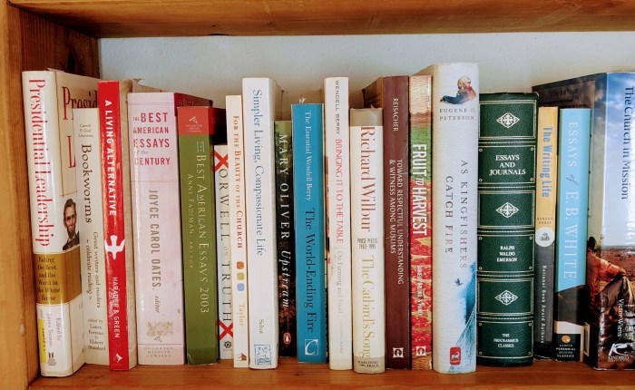 On Reading An Essay A&nbsp;Day